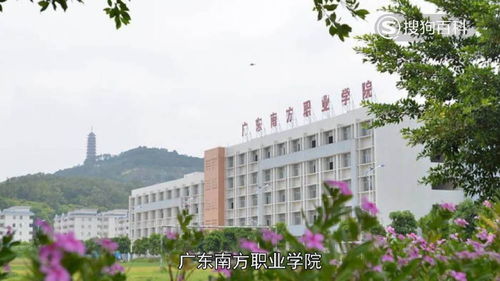 广东成考院校,广州成人高考可以考哪些大学？