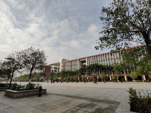 广东成考专科哪些学校比较好,专科生可以选择的广东成考院校有哪些？