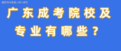 广东成考专业,广东2023成考开设了哪些专业 什么专业最实用？