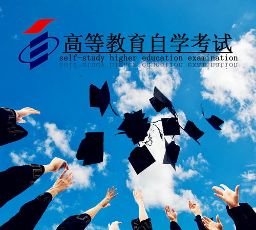 2022广东成人高考答案公布,广东2022年成人高考成绩什么时候公布